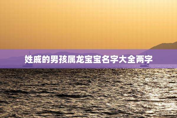 姓戚的男孩属龙宝宝名字大全两字