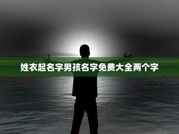 姓衣起名字男孩名字免费大全两个字