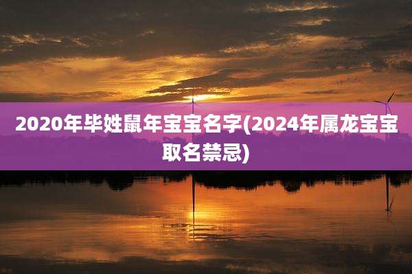 2020年毕姓鼠年宝宝名字(2024年属龙宝宝取名禁忌)