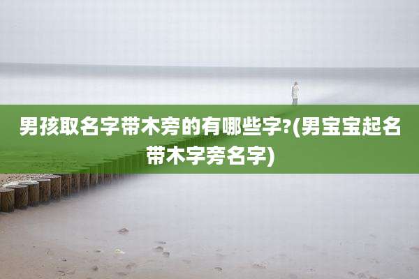 男孩取名字带木旁的有哪些字?(男宝宝起名带木字旁名字)