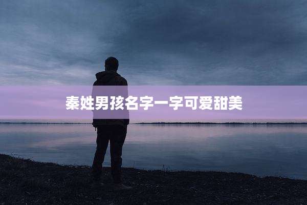 秦姓男孩名字一字可爱甜美