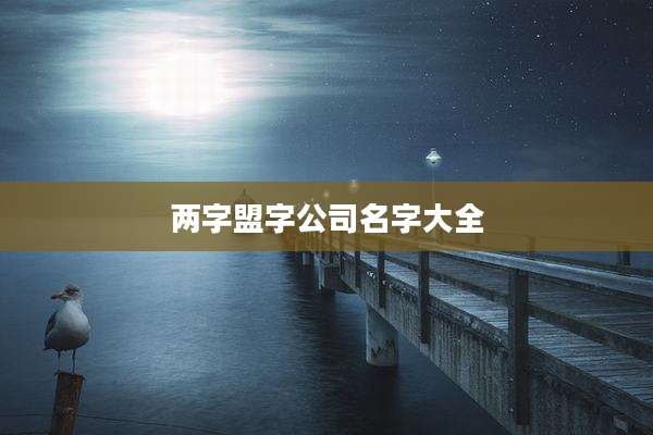 两字盟字公司名字大全