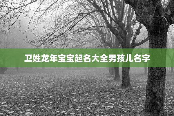 卫姓龙年宝宝起名大全男孩儿名字