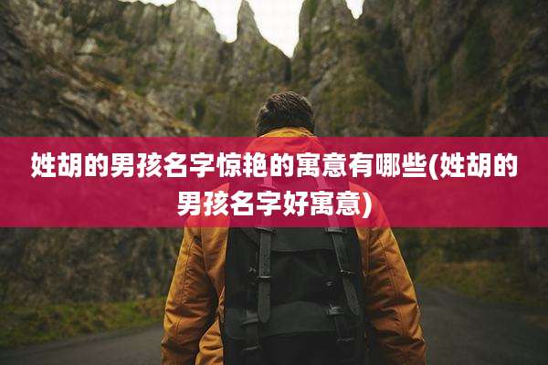 姓胡的男孩名字惊艳的寓意有哪些(姓胡的男孩名字好寓意)