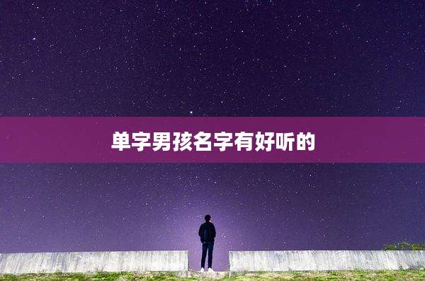 单字男孩名字有好听的