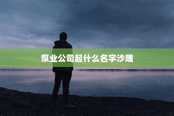 泵业公司起什么名字沙雕