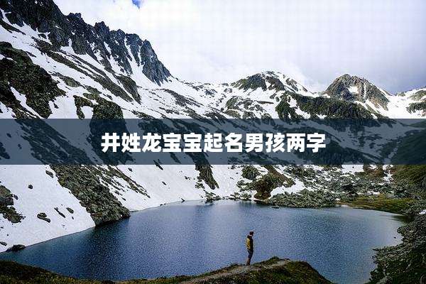 井姓龙宝宝起名男孩两字