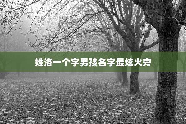 姓洛一个字男孩名字最炫火旁