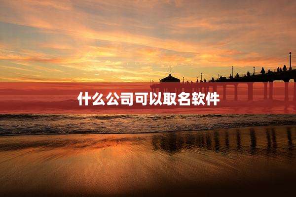 什么公司可以取名软件