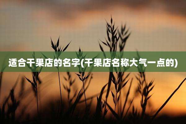 适合干果店的名字(干果店名称大气一点的)