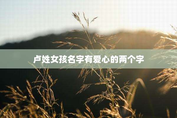 卢姓女孩名字有爱心的两个字