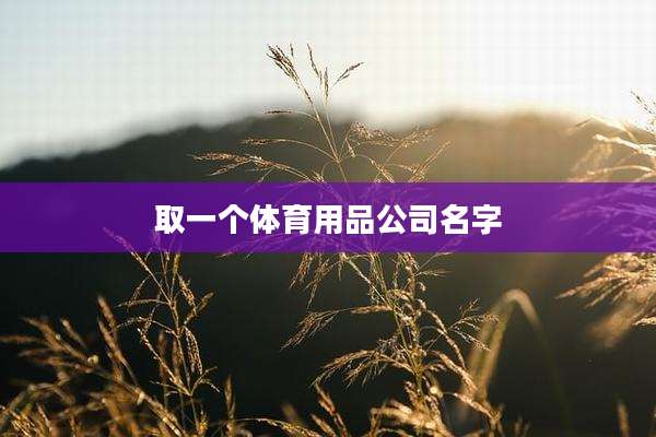 取一个体育用品公司名字