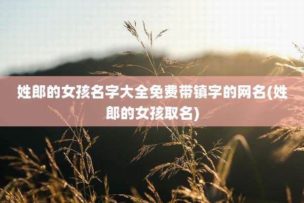 姓郎的女孩名字大全免费带镇字的网名(姓郎的女孩取名)