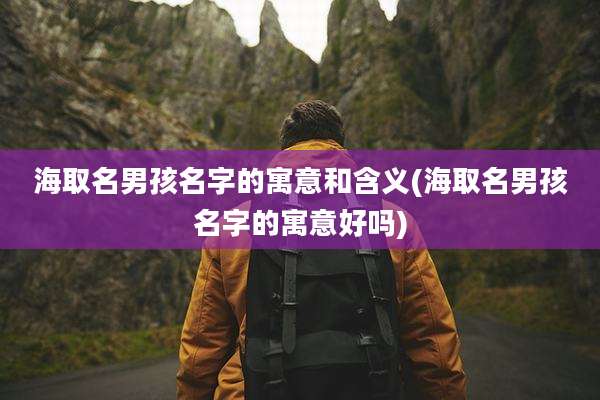 海取名男孩名字的寓意和含义(海取名男孩名字的寓意好吗)