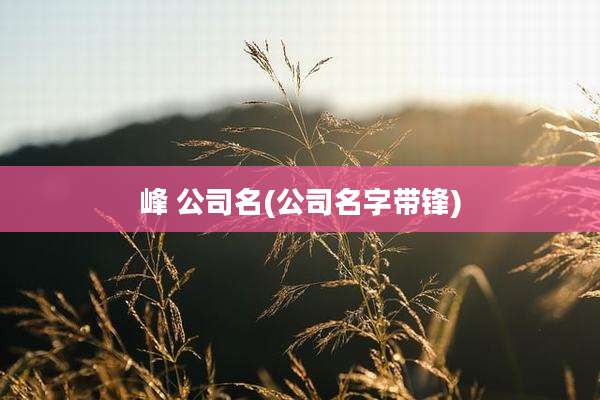 峰 公司名(公司名字带锋)