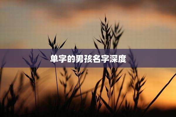 单字的男孩名字深度