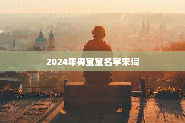 2024年男宝宝名字宋词