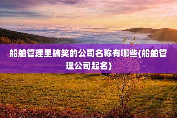 船舶管理里搞笑的公司名称有哪些(船舶管理公司起名)