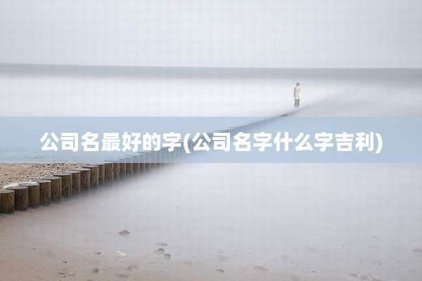 公司名最好的字(公司名字什么字吉利)