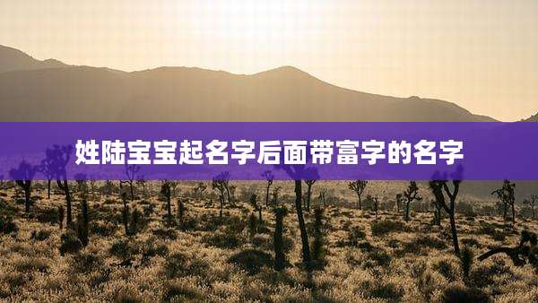 姓陆宝宝起名字后面带富字的名字