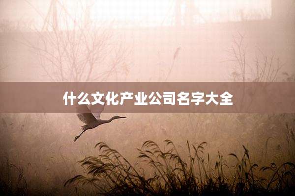 什么文化产业公司名字大全