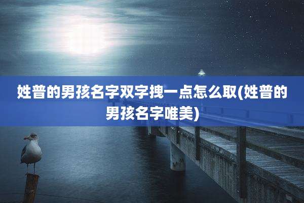 姓普的男孩名字双字拽一点怎么取(姓普的男孩名字唯美)