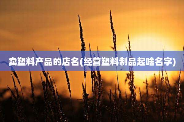 卖塑料产品的店名(经营塑料制品起啥名字)
