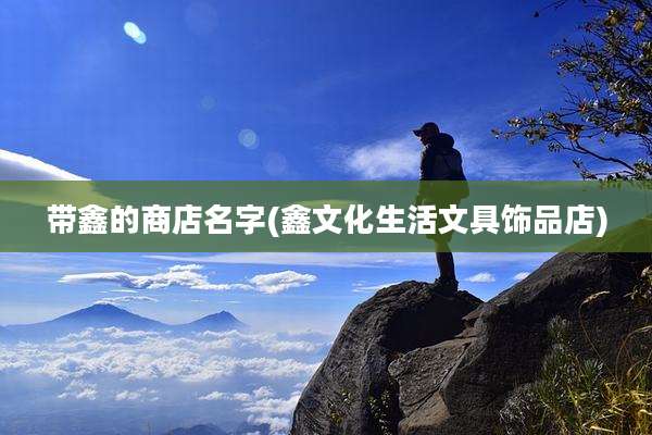 带鑫的商店名字(鑫文化生活文具饰品店)