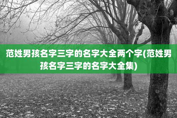 范姓男孩名字三字的名字大全两个字(范姓男孩名字三字的名字大全集)