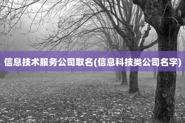 信息技术服务公司取名(信息科技类公司名字)