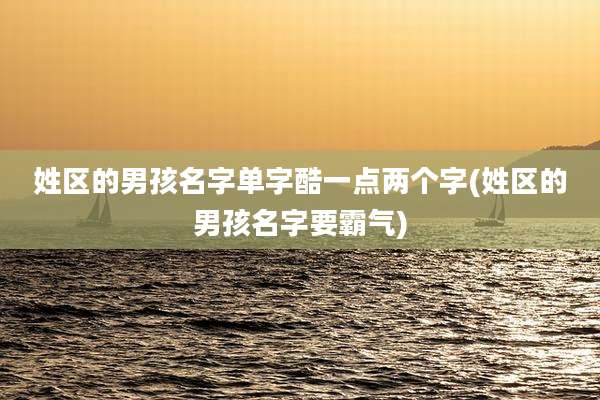 姓区的男孩名字单字酷一点两个字(姓区的男孩名字要霸气)