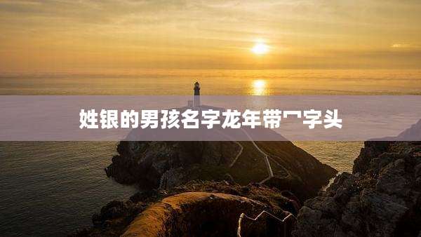 姓银的男孩名字龙年带冖字头