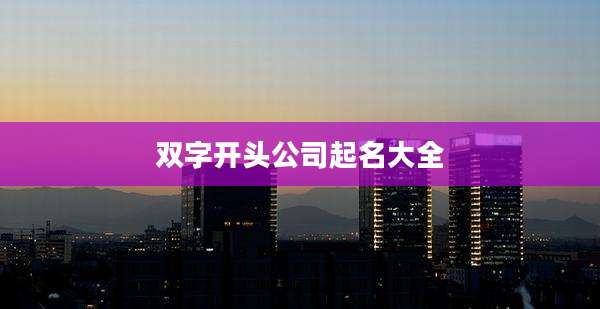 双字开头公司起名大全