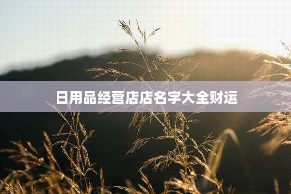 日用品经营店店名字大全财运