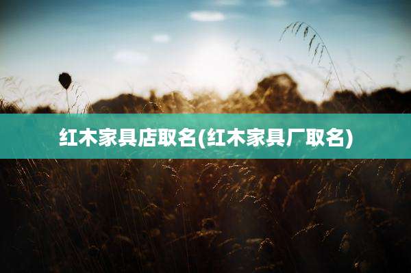 红木家具店取名(红木家具厂取名)