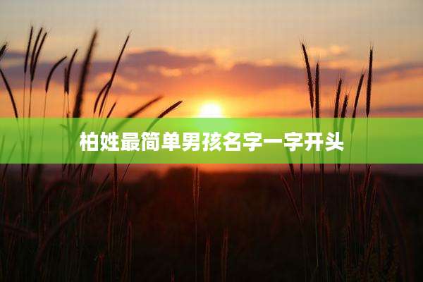 柏姓最简单男孩名字一字开头