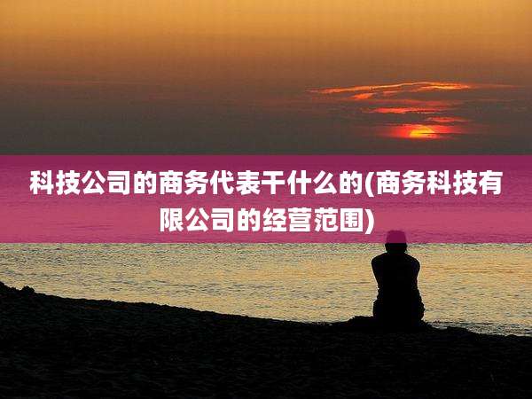 科技公司的商务代表干什么的(商务科技有限公司的经营范围)