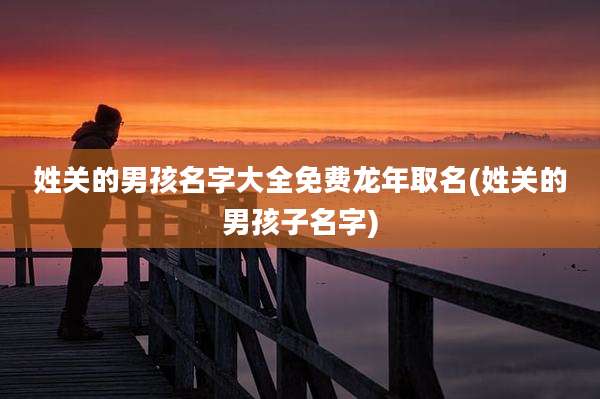 姓关的男孩名字大全免费龙年取名(姓关的男孩子名字)
