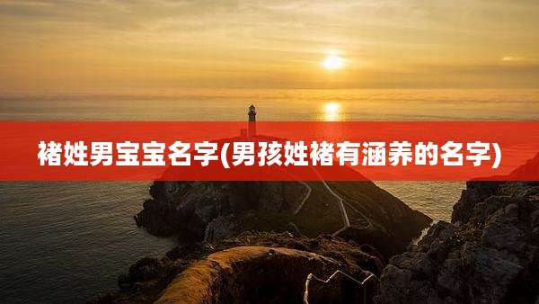 褚姓男宝宝名字(男孩姓褚有涵养的名字)