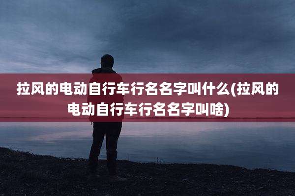 拉风的电动自行车行名名字叫什么(拉风的电动自行车行名名字叫啥)