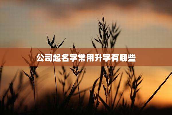 公司起名字常用升字有哪些