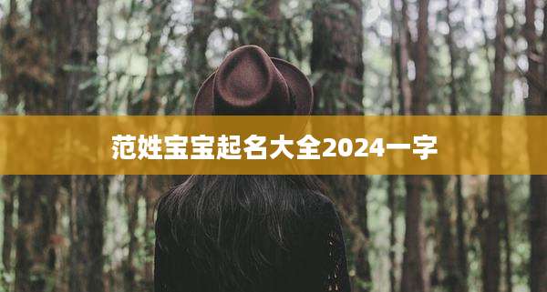 范姓宝宝起名大全2024一字