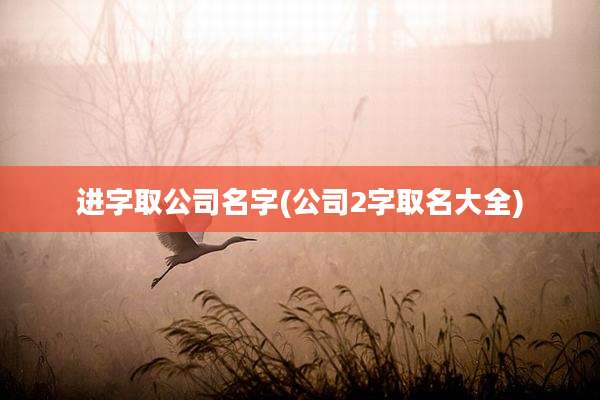 进字取公司名字(公司2字取名大全)
