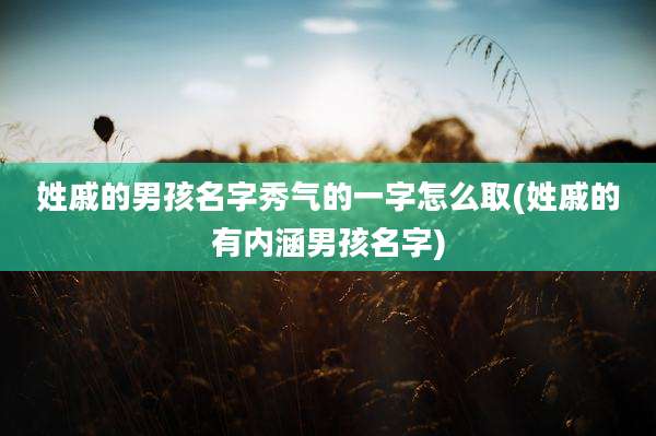 姓戚的男孩名字秀气的一字怎么取(姓戚的有内涵男孩名字)