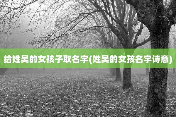 给姓吴的女孩子取名字(姓吴的女孩名字诗意)
