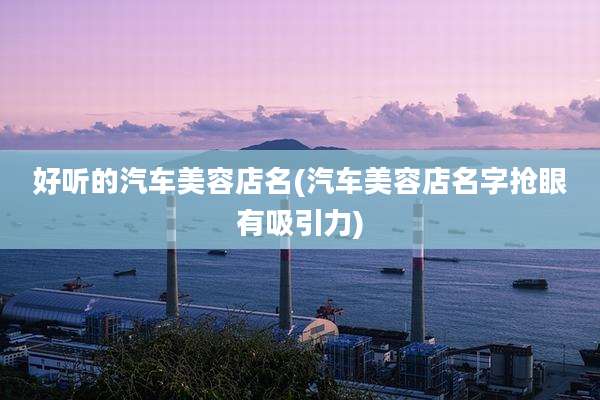 好听的汽车美容店名(汽车美容店名字抢眼有吸引力)