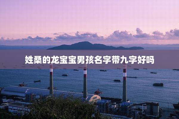 姓桑的龙宝宝男孩名字带九字好吗