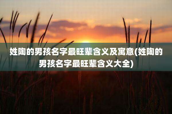 姓陶的男孩名字最旺辈含义及寓意(姓陶的男孩名字最旺辈含义大全)