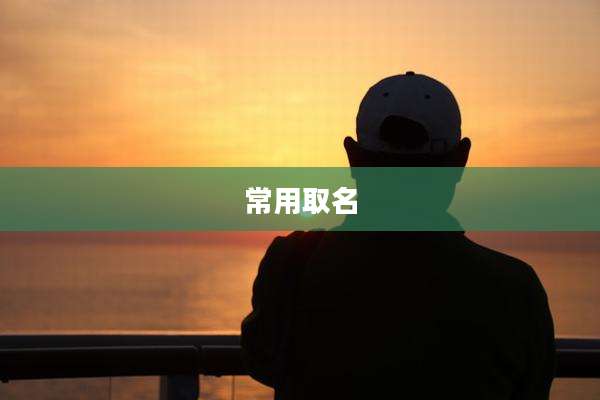 常用取名