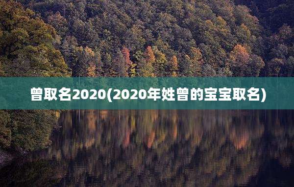 曾取名2020(2020年姓曾的宝宝取名)